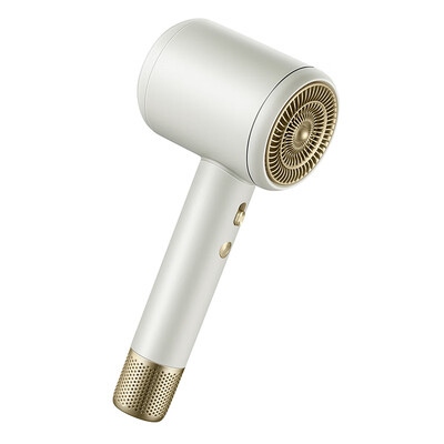 北欧欧慕 nathome DP 瑞丝电吹风NM-CF3201