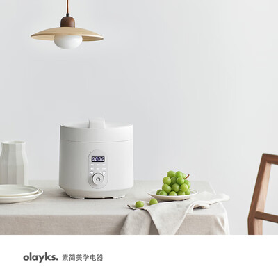 欧莱克YWB3001A电压力锅怎么样？爆料五大细节特点！