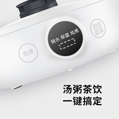 九阳（Joyoung）养生壶 K08-D601 800ML