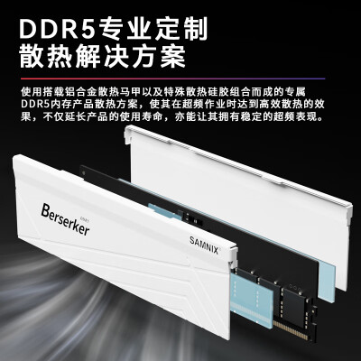 新乐士Berserker狂刃战士系列DDR5马甲条内存条深度评测：性能猛兽，究竟来自何方？-图片2