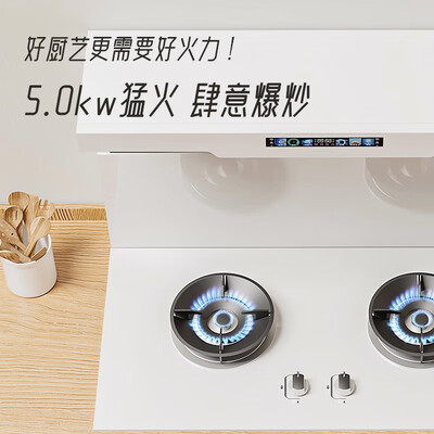 荣事达 集成灶 900彩屏变频 白色 天然气分体式集成灶是否值得入手（荣事达分体式集成灶怎么样）-图片5