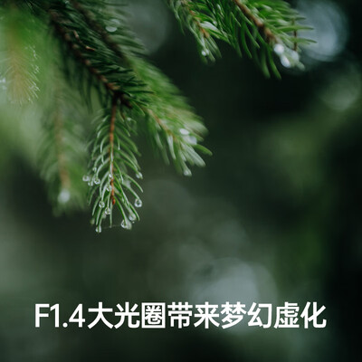 适马 Art 50mm F1.4 DG DN微单镜头靠谱吗,揭秘内幕（适马微单镜头索尼卡口135效果怎么样）