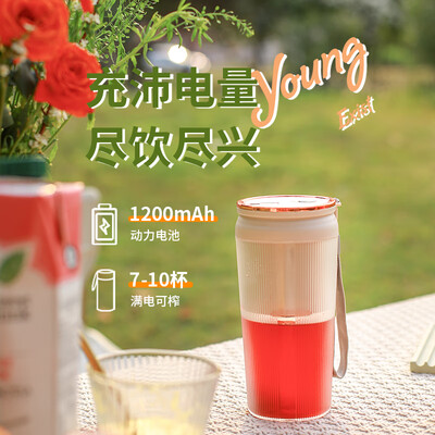 荣事达便携旅行套装（电热水杯+榨汁杯）