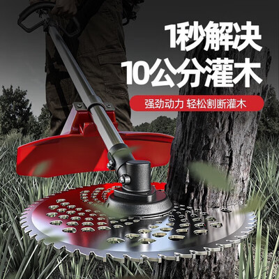德力西四冲割草机DELIXI背负式靠谱吗,揭秘内幕（德力西电气割草机怎么样）-图片4