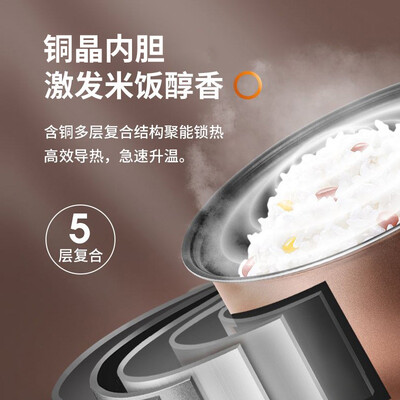 九阳电饭煲F-40FZ815与810大比拼：哪款更合你心意？-图片6