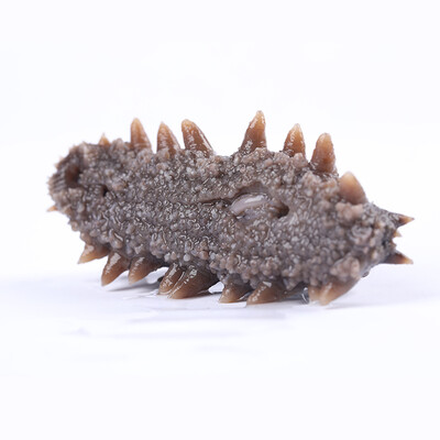 珍百年即食海参礼盒500g怎么样,六大亮点值得关注!