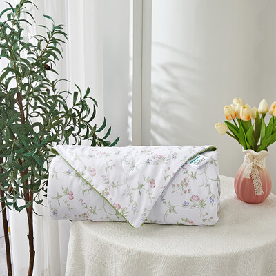 路易卡罗（Louis Kellog）晨曦物语天丝被 LK-8835