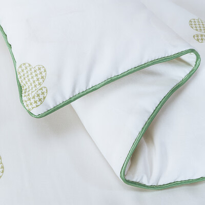 博洋家纺（BEYOND HOME TEXTILE） 蚕丝被 春晓 200*230cm