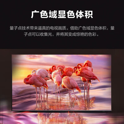 真实体验告诉你：三星QA65QN700BJXXZ会议平板的用后到底怎么样！