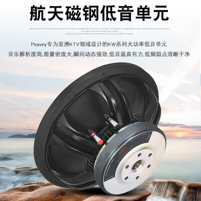 皇冠功放和声准功放哪个好(声皇冠S-203进口音响质量如何)