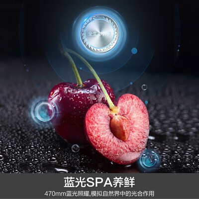容声 502升双开门冰箱 RBD-502W质量烂不烂（容声冰箱属于什么档次）-图片1