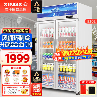 星星530L双开门展示柜风直冷立式冰柜测评看真相(星星立式冰柜怎么调温度)