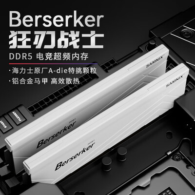 新乐士Berserker狂刃战士系列DDR5马甲条内存条体验效果好吗？-图片3