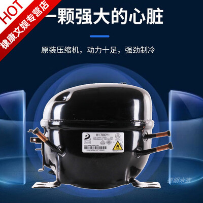 森森冷水机20L小型鱼缸专用冷水机评测说真相(森森冷水机怎么样)-图片1