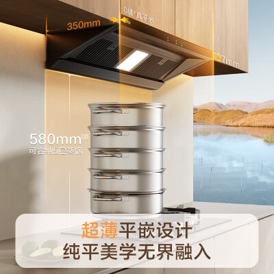 苏泊尔（SUPOR）[家电国家补贴至高20%]抽吸排油烟机家用大吸力25m³变频1000Pa欧式超薄平嵌自清洁以旧换新 DT32S