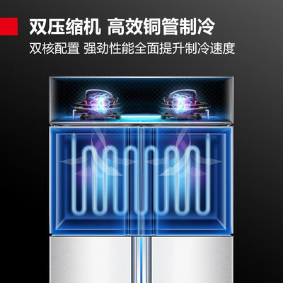 德玛仕冰柜好还是星星冰柜好（德玛仕900L四门冰柜商用冷藏立式冰柜好不好）