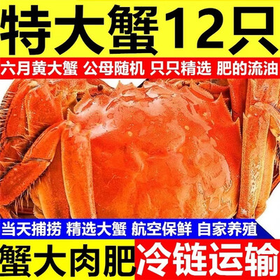 科技创新！寻锦大闸蟹为你打造私人健康守护！