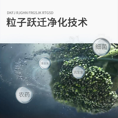 圣帝尼 SUNDYLEE 12L果蔬清洗机智能净化器评测说真相（圣帝尼果蔬清洗机怎么样）