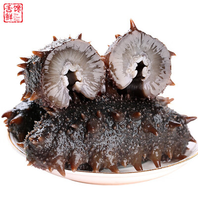 舌馋鲜高刺辽参2斤30-40头礼盒即食海参值得手入吗（即食海参怎么吃视频）-图片3