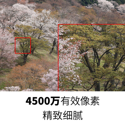 佳能微单r和r5的差别（佳能 EOS R5 微单相机微单镜头到底如何,值得入手吗）