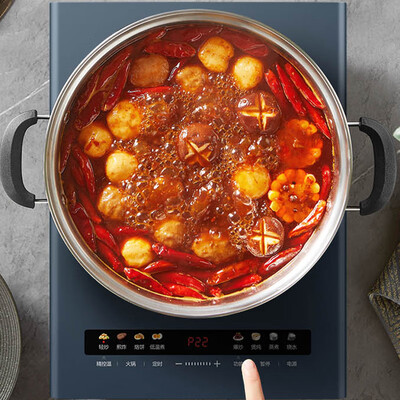 苏泊尔（SUPOR）精控素彩系列电磁炉 C22-ID39