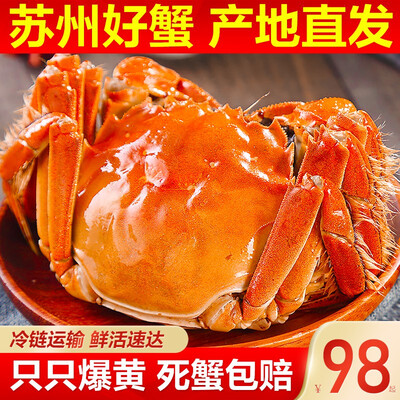 独家暴料！中阳湖大闸蟹怎么样，看完知内幕！