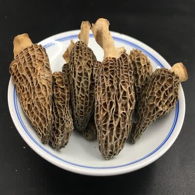 长岭尖 珍奇系列精选羊肚菌28g/袋