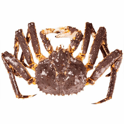 帝王蟹对比(乐食港4.6-5斤帝王蟹评测说真相)