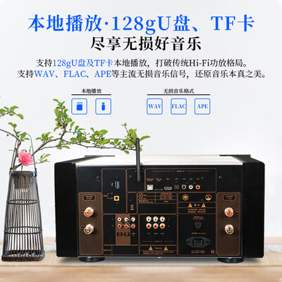 天逸AD-99D功放机深度测评：音质发烧友的梦幻之选-图片1