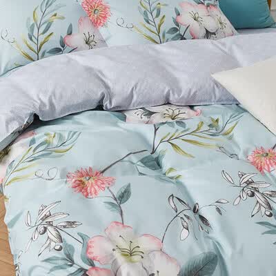 路易卡罗（Louis Kellog）艾草滋养健康四件套 陌上花开 LK-6335