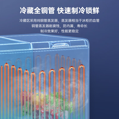 澳柯玛 BCD-203CNE双温冰柜好不好（澳柯玛冰柜不制冷了怎么回事）-图片3