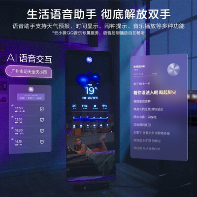 FITURE SLiM魔镜  魔镜3 PLUS  常规 暖灰色