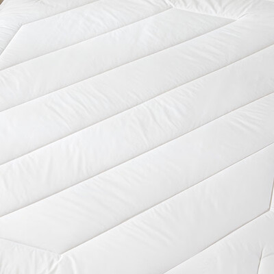 LOVO罗莱生活  珍·悦 澳洲羊毛丝柔冬被 VTT7755 200x230cm