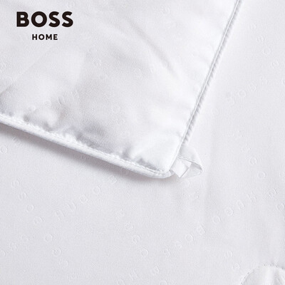 Boss HBCS-007 压花LOGO桑蚕丝被
