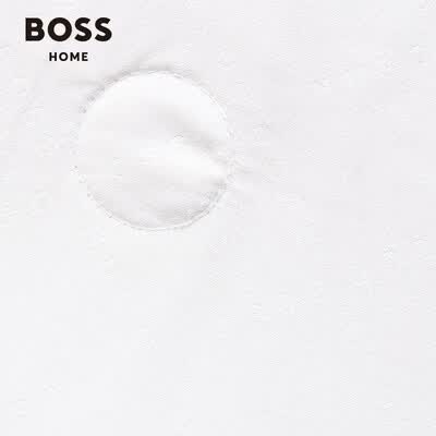 Boss HBCS-007 压花LOGO桑蚕丝被