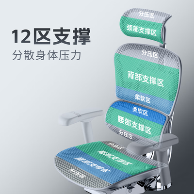 金豪e和l（Ergonor金豪e 2代椅人体工学椅是否值得入手）-图片5