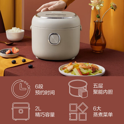 小熊DFB-P20H1电饭煲好不好？用户评价让人大吃一惊！