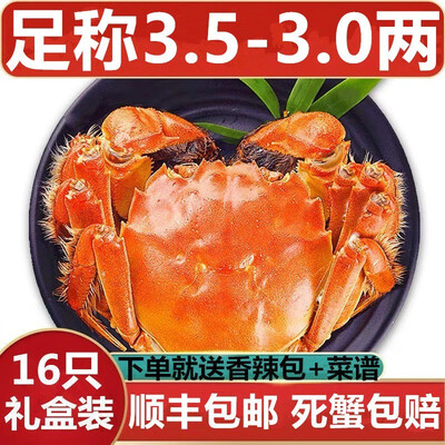 蟹拍档大闸蟹怎么样，用户用都竖起大拇指五大理由！