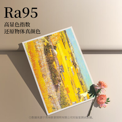 欧普吸顶灯哪款好看（欧普 见 吸顶灯 可调光LED大灯客厅灯怎么样）-图片4