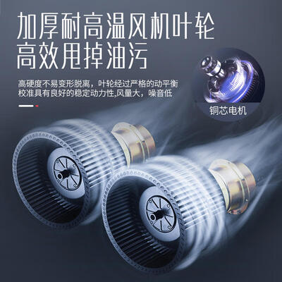 路易皇冠 商用抽油烟机 880W单风机油烟净化器评测说真相（路易皇冠油烟净化器是哪个公司）-图片1