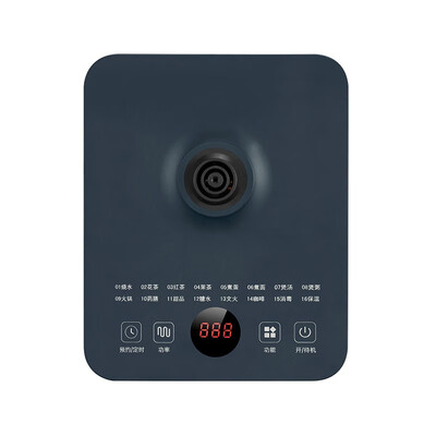 北欧欧慕（nathome） 莫妮卡养生壶 NM-YS0601