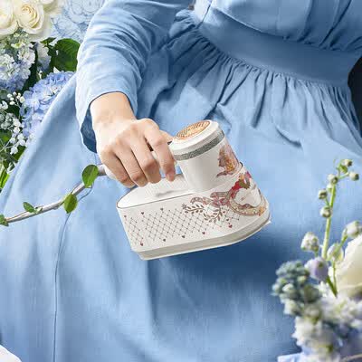 摩飞 蒸汽挂烫机(大英联名款) MR2032