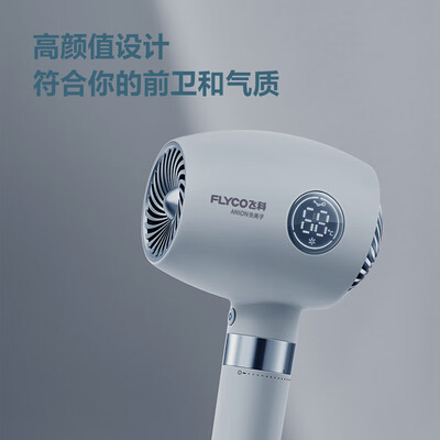 飞科 FLYCO 电吹风机 FH6366