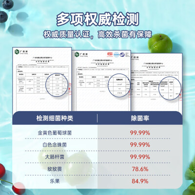 西屋（Westinghouse）果蔬清洗机 WGS31蓝色