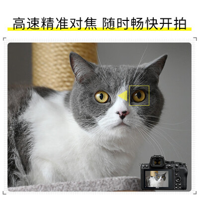 尼康微单z5配24-50还是24-7 0镜头（尼康 Z5 套机 Z 24-200mm f/4-6.3微单镜头质量如何）