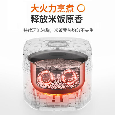 九阳电饭煲FZ619与FZ630对比：哪款更值得你入手？-图片2