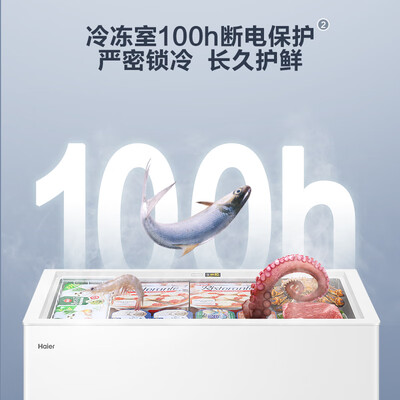 海尔冰柜BC/BD-300GHD300升大容量冷柜冷冻柜质量烂不烂（海尔冷冻柜怎么调温度锁图解）-图片6