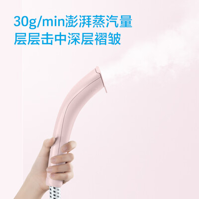 飞科（FLYCO） 挂烫机      FI-9822  FI-9823