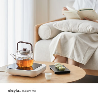 欧莱克OLK-09-01电陶炉靠谱吗?整体表现如何?评测告诉大家真相