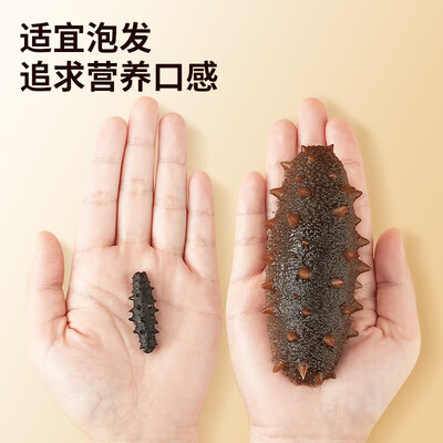 同仁堂淡干海参端午礼盒到底如何,值得入手吗(同仁堂淡干海参怎么样)